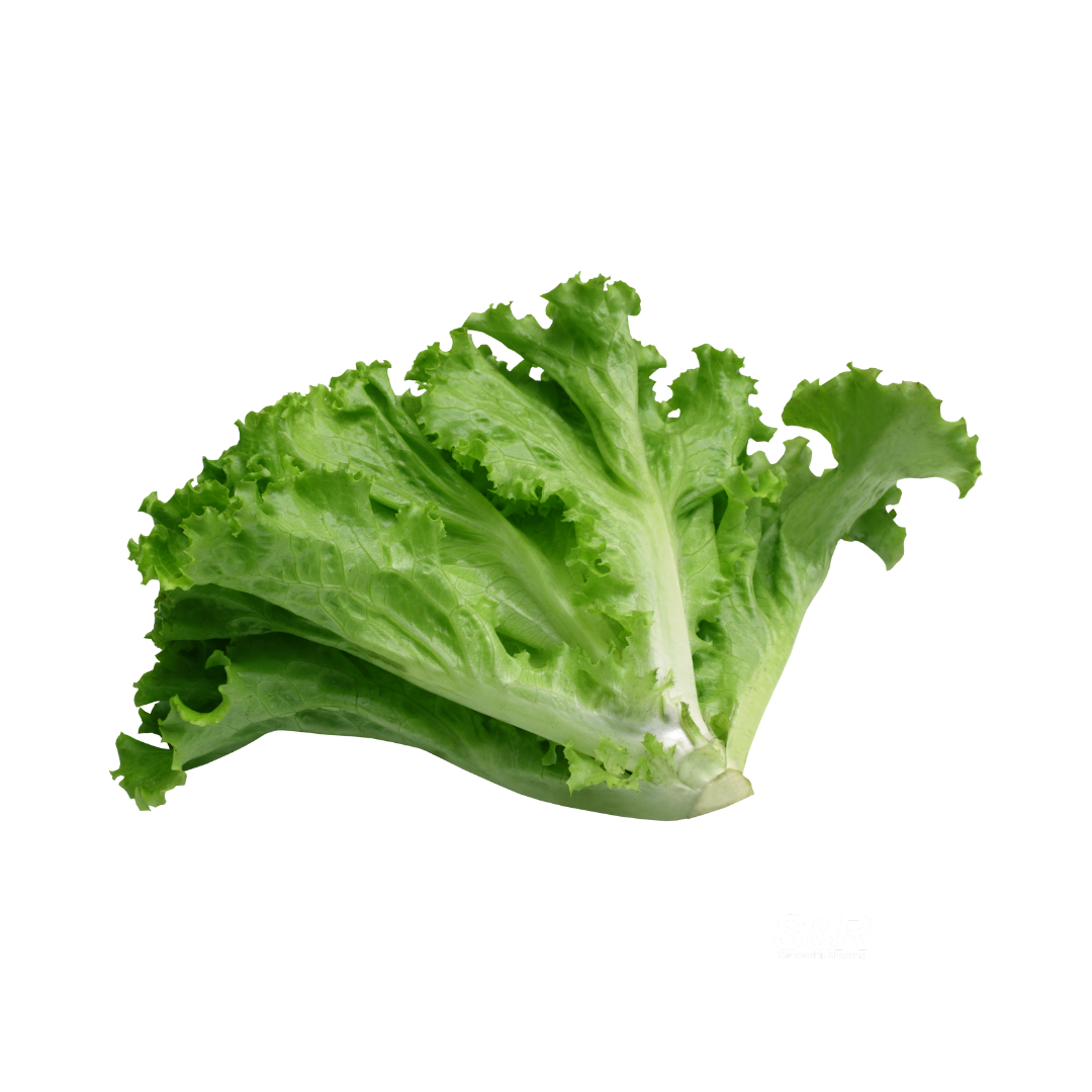 CF Green Ice Lettuce approx 400g